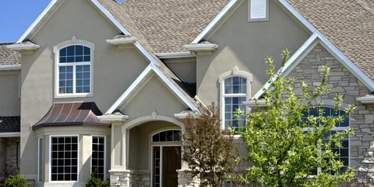 How can I design a pet-friendly home renovation