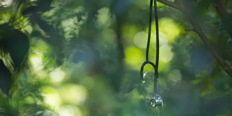 Which Of These Statements About Medicaid Is Correct