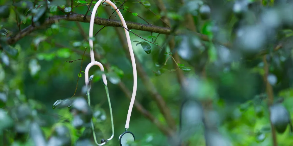 Which Health Insurance Is Best For Me Quiz