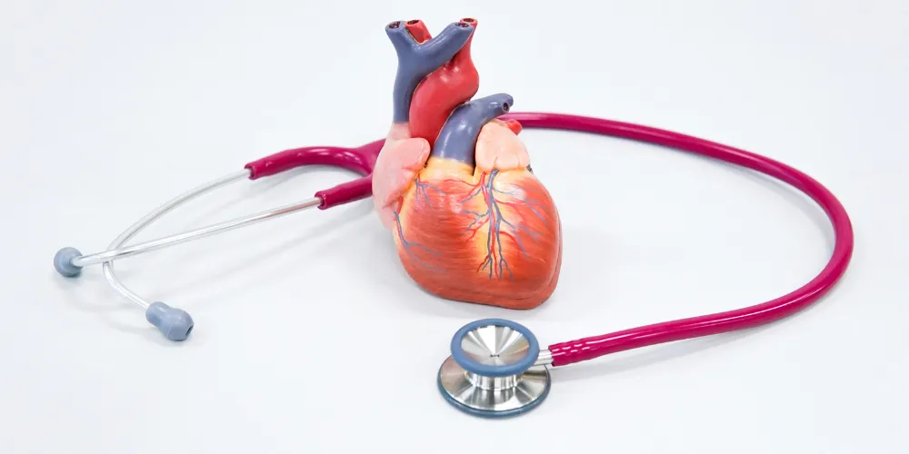 What Does A Behavioral Health Technician Do