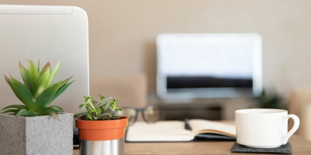 How Much Does Plumbing Cost For A New House