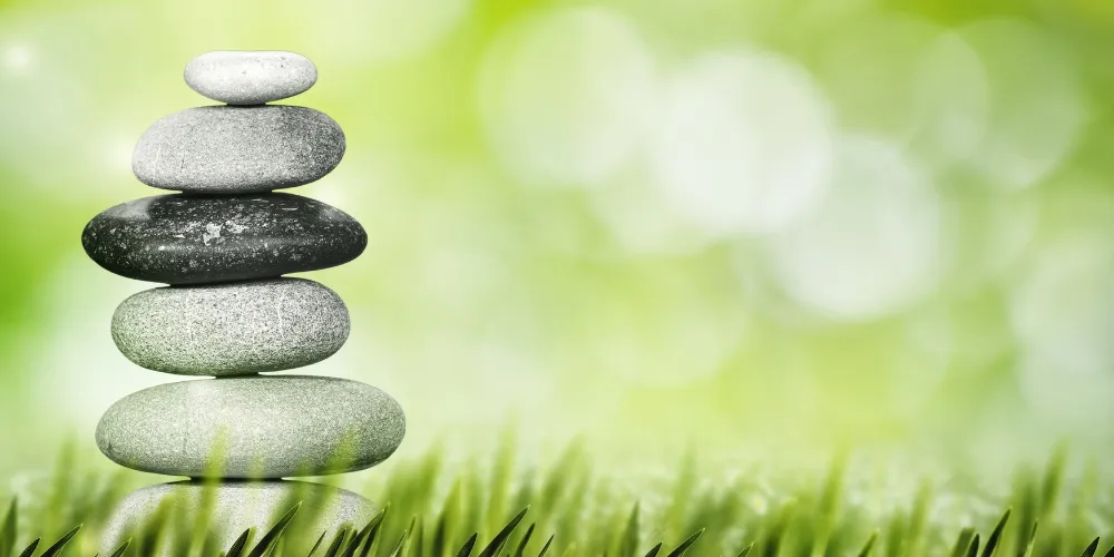 What Are The 3 Parts Of The Health Triangle