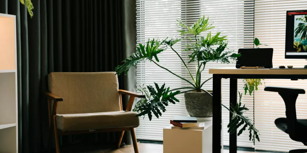 How can I design a dual-purpose window