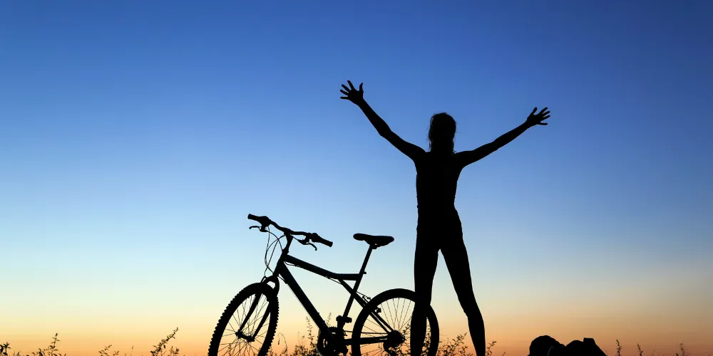 What Is The Difference Between Health And Wellness