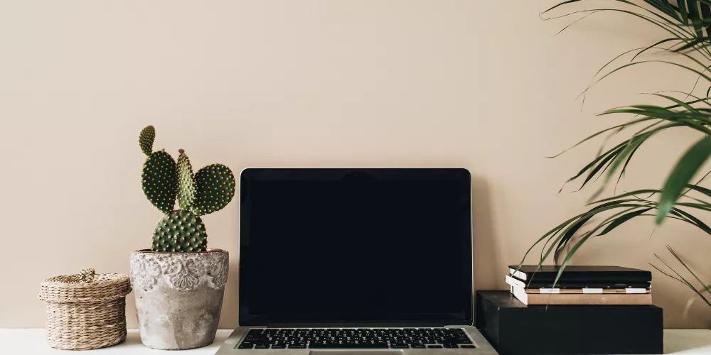 How Do I Plan Wiring for Speakers in an Open